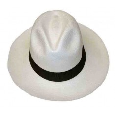 Chapeau panama