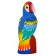 Perroquet (20cm)