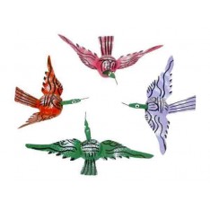 Colibri tête mobile